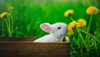 1xbet-许尔策勒：阿森纳不是在踢足球，他们在制造自己的足球规则